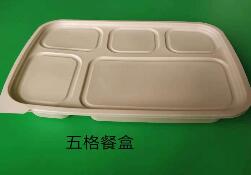 一次性葫芦娃视频下载